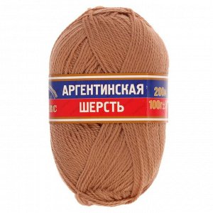 Пряжа "Аргентинская шерсть" 100% импортная п/т шерсть 200м/100гр (005 бежевый)