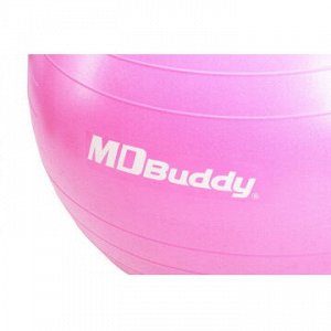 Гимнастический мяч MD Buddy MD1225 55 см