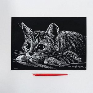 Школа талантов Гравюра «Котёнок» с металлическим эффектом «серебро» А4