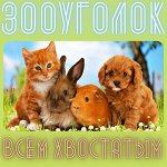 ЗооУголок- всё для животных. Ваш питомец скажет вам СПАСИБО