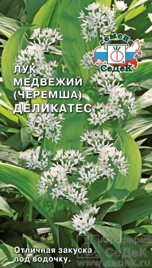 ЛУК ДЕЛИКАТЕС (ЧЕРЕМША)