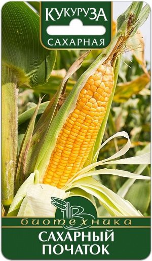 Кукуруза сахарная Сахарный початок
