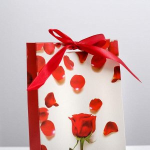 Пакет подарочный с лентой «От всего сердца», 13 ? 23 ? 7 см