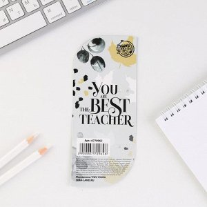 Ручка пластик с колпачком Teacher №1, синяя паста, фурнитура серебро, 1 мм