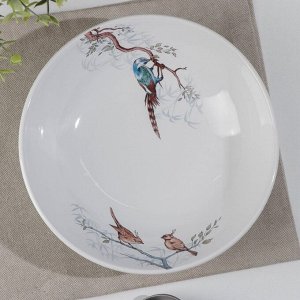 Тарелка суповая «Птицы», 750 мл d=19,5 см