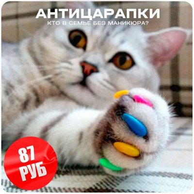 😺 Ушки, лапки, хвостики. Популярная закупка для любимцев
