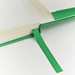 Блокнот А5 (142х214 мм), 100 л., твердая обложка, балакрон, на резинке, BRUNO VISCONTI, Зеленый, 3-101/03