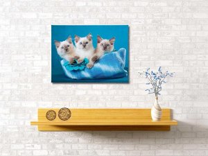 Картина "Три котенка", 60*40 см.