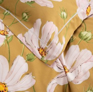 Viva home textile Комплект постельного белья Сатин Вышивка CN121