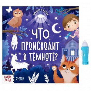 Книга с фонариком «Что происходит в темноте?», 24 стр.