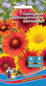 Цветы Гайлардия крупноцветковая Карнавал Смесь