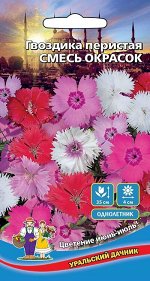 Цветы Гвоздика перистая Смесь Окрасок