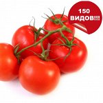 Семена Томатов. ХИТЫ от 6р