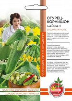 Огурец Байкал - корнишон