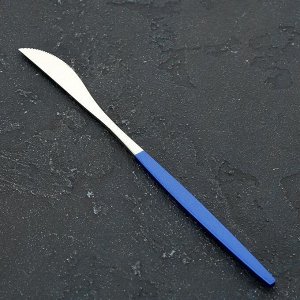 Нож столовый Magistro «Блинк», h=22 см, на подвесе, цвет металла серебряный, синяя ручка