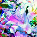 7 цветов! весенние посадки! предзаказ
