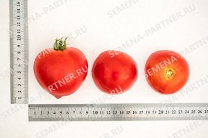 ПАРТНЕР Томат Антюфей F1 ( 2-ной пак.) / Гибриды томата с крупными плодами