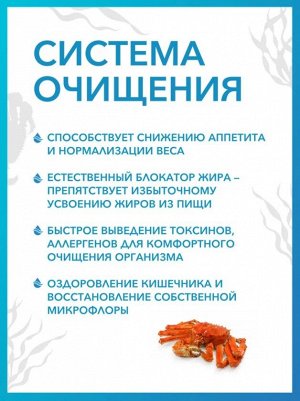 Доктор Море Система Очищение (60 капсул по 0,45г)