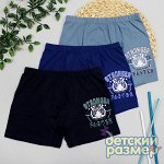 Боксеры