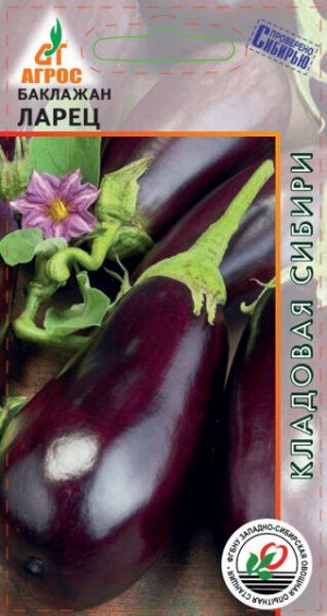 Баклажан Ларец (Код: 89693)