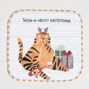 Салфетка для уборки «Тигр», 20х20 см, п/э