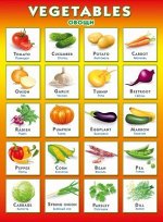 Плакат &quot;Vegetables. Овощи&quot;