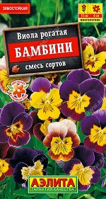 Виола Бамбини, смесь сортов