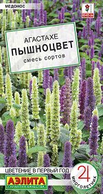 Агастахе Пышноцвет, смесь сортов