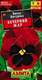 Виола Вечерний жар