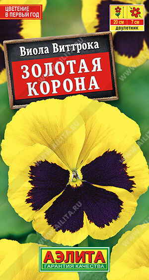 Виола Золотая корона