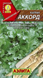 Катран (хрен) Аккорд