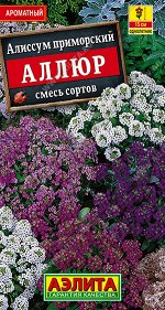 Алиссум Аллюр, смесь сортов