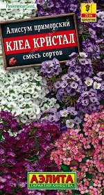 Алиссум Клеа кристал, смесь сортов