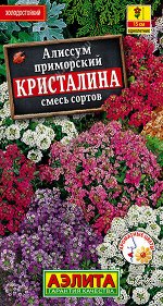 Алиссум Кристалина, смесь сортов