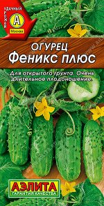 Огурец Феникс плюс