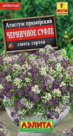 Алиссум Черничное суфле, смесь сортов