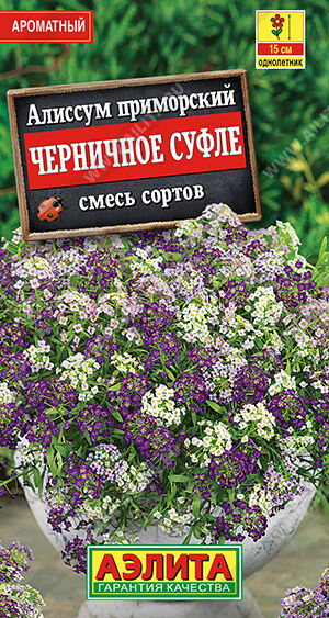 Алиссум Черничное суфле, смесь сортов