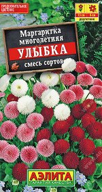 Маргаритка Улыбка махровая помпонная, смесь сортов