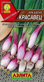 Лук батун Красавец