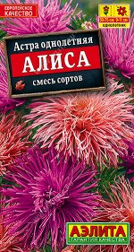 Астра Алиса, смесь окрасок