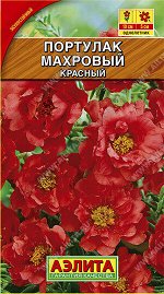 Портулак махровый красный
