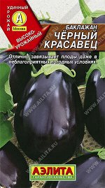 Баклажан Черный красавец