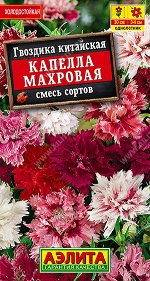 Гвоздика Капелла махровая китайская, смесь сортов