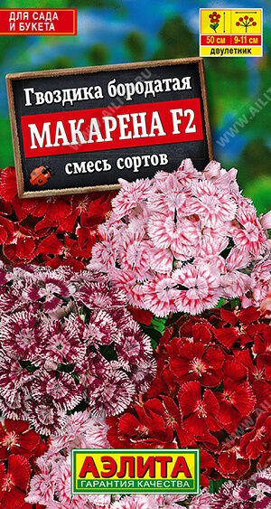 Гвоздика Макарена F2, смесь сортов