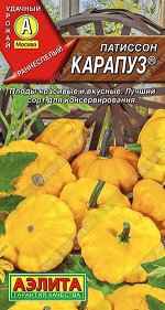 Патиссон Карапуз
