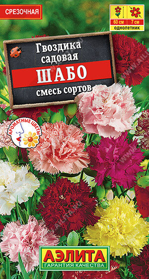 Гвоздика садовая Шабо, смесь сортов