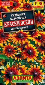 Рудбекия Краски осени, смесь сортов