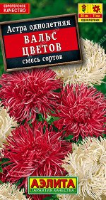 Астра Вальс цветов, смесь окрасок
