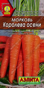 Морковь Королева осени
