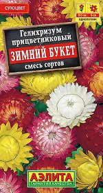 Гелихризум Зимний букет, смесь сортов